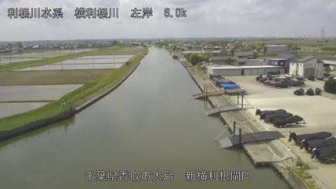 yoko2026042011_image