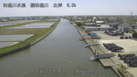 yoko2026042013_image