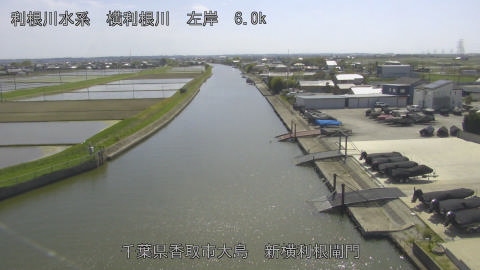 yoko2026042014_image