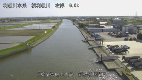 yoko2026042015_image