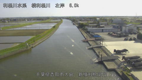 yoko2026042016_image