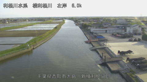 yoko2026042017_image