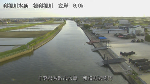 yoko2026042018_image