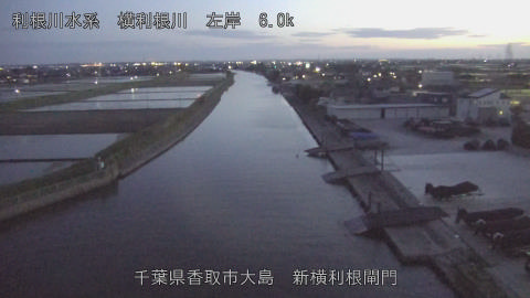 yoko2026042019_image