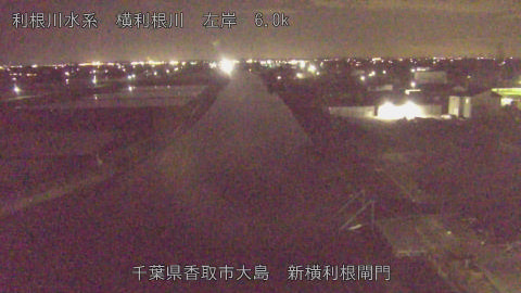 yoko2026042020_image