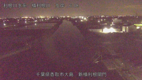 yoko2026042021_image