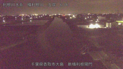 yoko2026042022_image