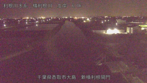 yoko2026042023_image