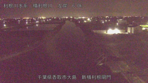 yoko2026042100_image