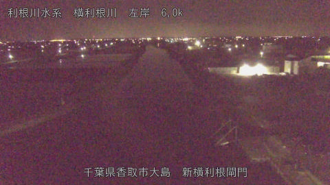 yoko2026042101_image