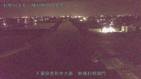 yoko2026042102_image