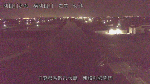 yoko2026042103_image