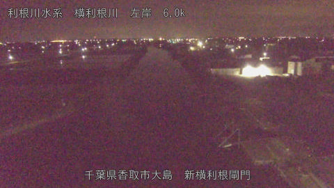 yoko2026042104_image