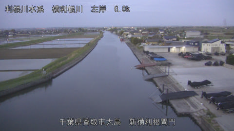 yoko2026042105_image