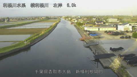 yoko2026042106_image