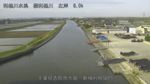 yoko2026042107_image