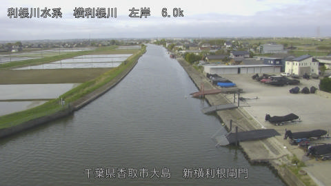 yoko2026042108_image