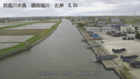 yoko2026042109_image