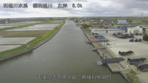 yoko2026042110_image