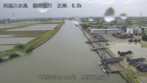 yoko2026042111_image