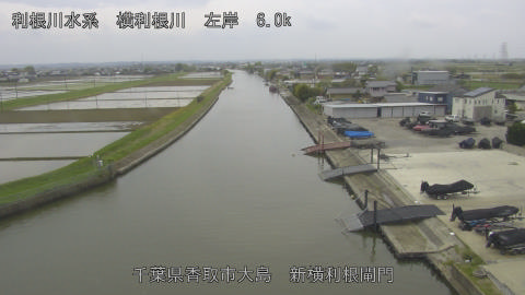 yoko2026042112_image