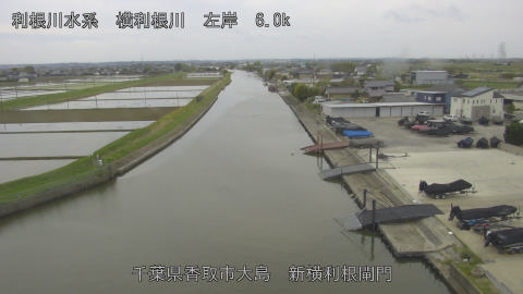 yoko2026042113_image