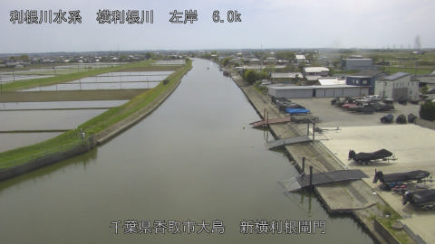 yoko2026042114_image