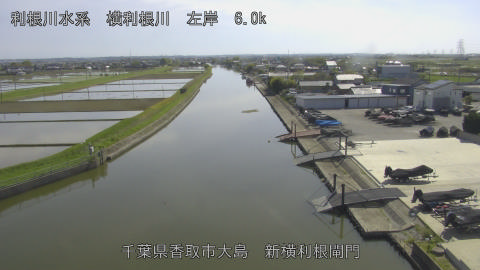 yoko2026042115_image