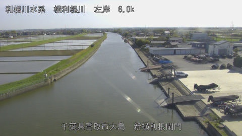 yoko2026042116_image