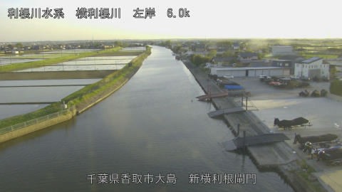 yoko2026042118_image