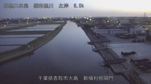 yoko2026042119_image