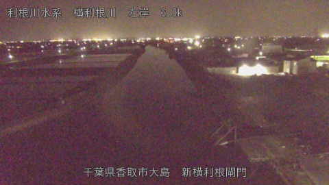 yoko2026042120_image