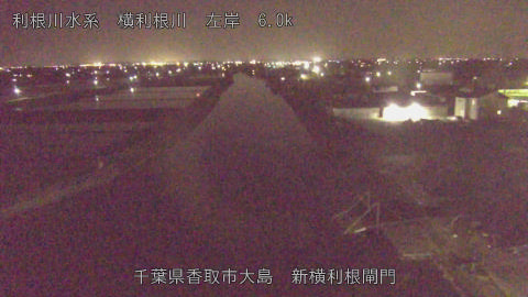 yoko2026042121_image