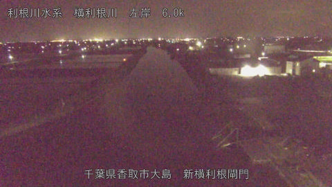 yoko2026042122_image