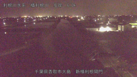 yoko2026042123_image