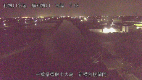 yoko2026042200_image