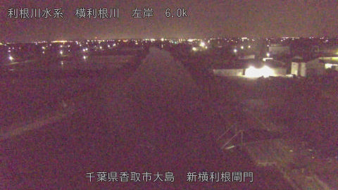 yoko2026042201_image