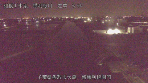 yoko2026042204_image