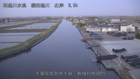 yoko2026042205_image