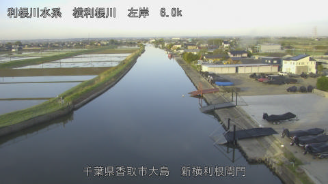 yoko2026042206_image