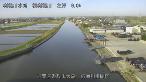 yoko2026042207_image