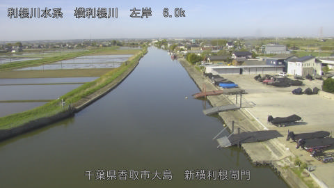 yoko2026042208_image