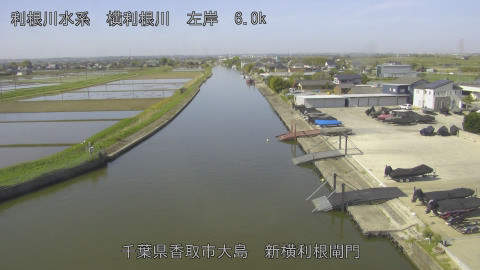 yoko2026042209_image