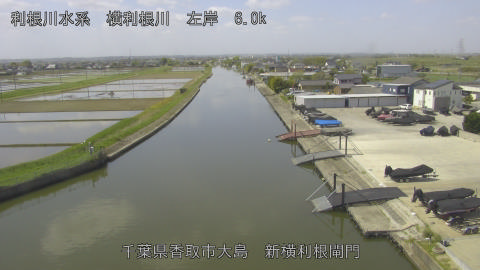 yoko2026042210_image