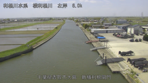 yoko2026042211_image