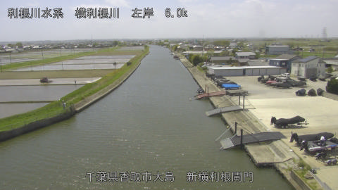 yoko2026042212_image