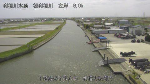 yoko2026042213_image