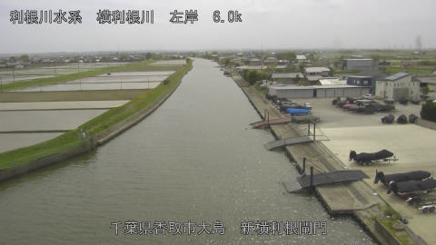 yoko2026042214_image