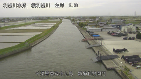 yoko2026042215_image