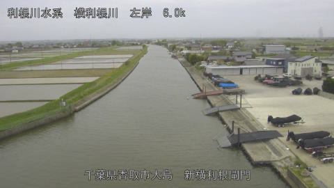 yoko2026042216_image